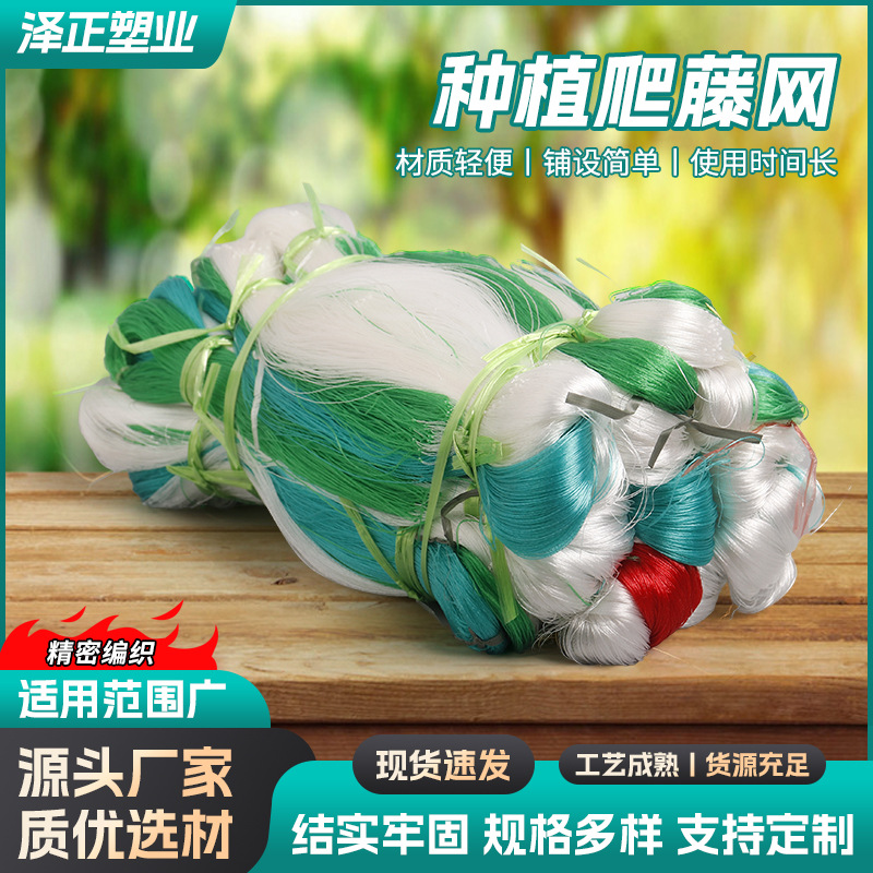 Vid de escalada suministro neto agrícola jardinería planta de pepino neto agrícola frutas y hortalizas ñame cuerno de frijol grueso pepino neto