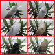 Spot office partition self-adhesive frosted film bathroom balcony translucent wall stickers window glass film wholesale