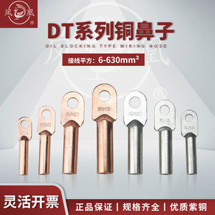 �~���~�������~�Ӿ�����A���Ӻ��~����DT10/16/25/35ƽ���P�����