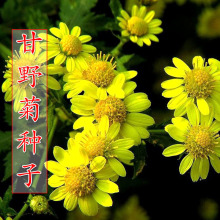 ҰշNļNջNѻܷNݻͥԺ̨·G