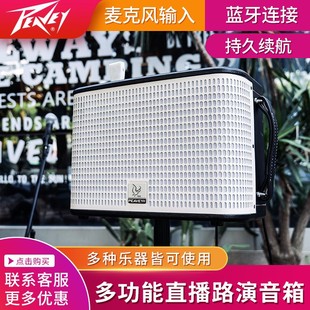 Peavey����S1���䏗��K�輪��������y����{�����ֱ��·�����
