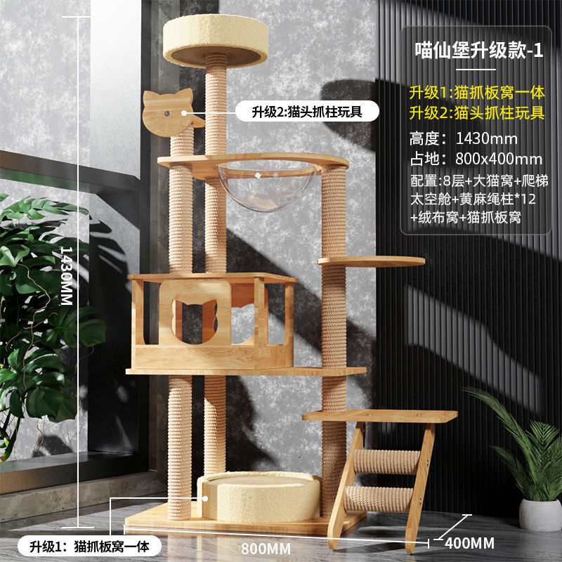 스타 야옹 럭셔리 업그레이드