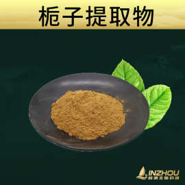 栀子提取物  林洲生物 栀子粉 栀子提取 水溶 喷雾干燥 现货