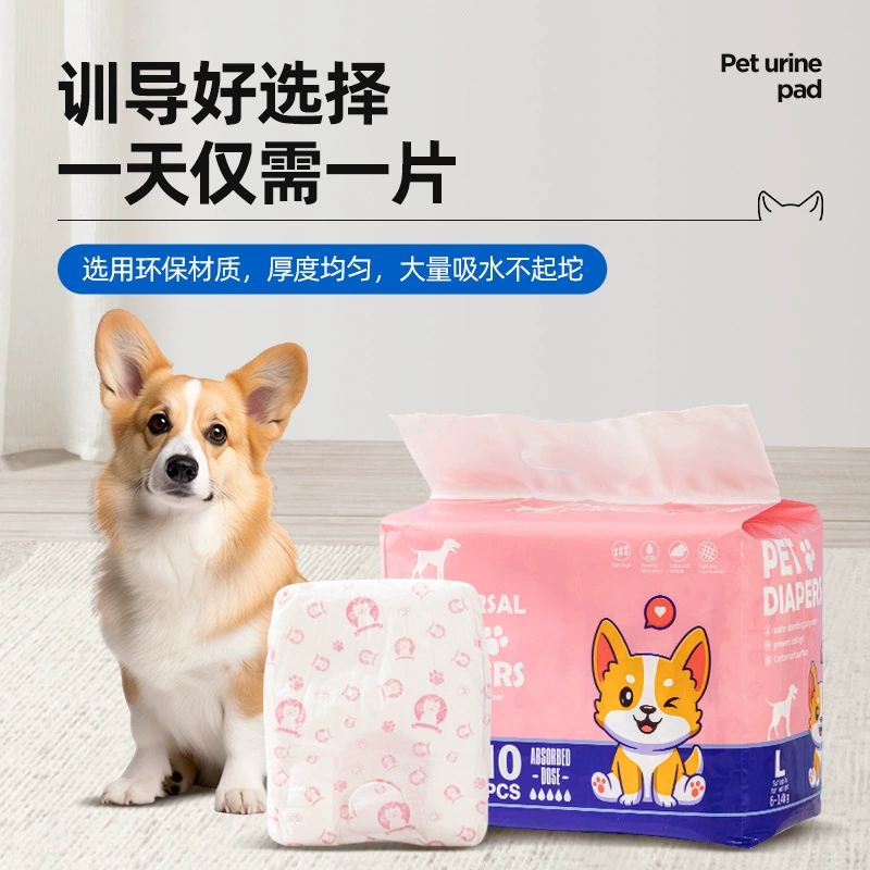 Подгузники для собак OEM подгузники для домашних животных Тедди собака менструальные штаны сука физиологические штаны Собака