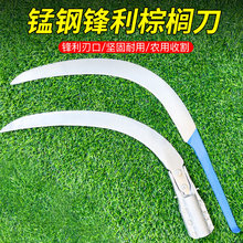 �ؙ������͹��Ӳ�ժ���õ����r�ó��ݸ�ݵ��ؙ�����ո�砵��羳