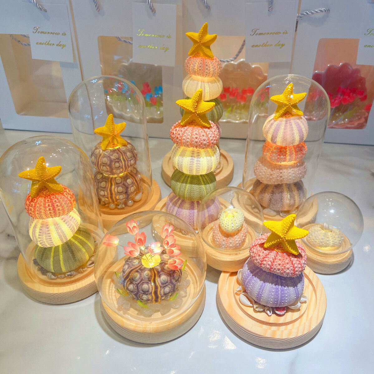 新年春节摆件贝壳海胆壳发光小夜灯材料包生日礼物送女友其他