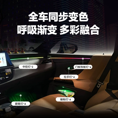 2024, Panel (Dashboard) işıqlandırması