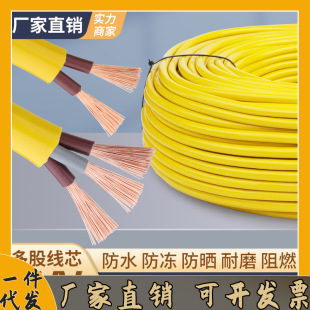RVV beef tendon yellow wire cable 2 core 1.5/2 flat power cord tram charging sheath/one-piece delivery