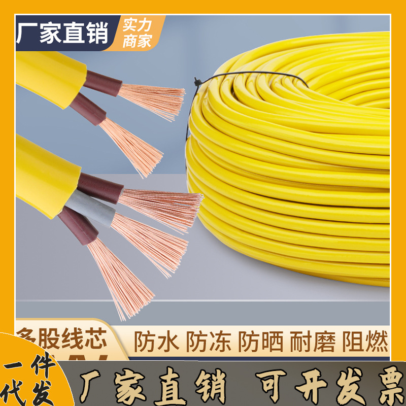 RVV牛筋黄电线电缆线2芯1/1.5/2平电源软线电车充电护套/一件代发