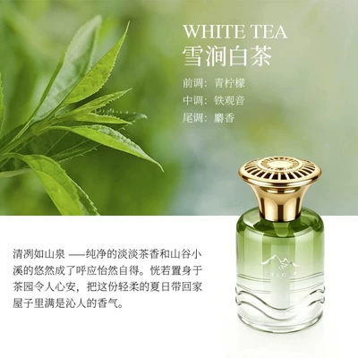 Glass Bottle Long-Lasting Scent – Car Perfume Aromatherapy - xiejian-white-tea-1-bottle-150ml