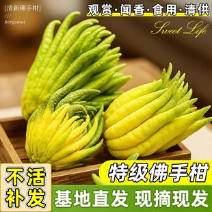 ���ָ��r�����r���ֹ��Ў�֦�҃Ȕ[���幩�^�p���ʳ�û�������