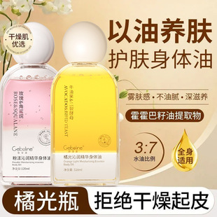 �ٹ��ߝ����A���w���o�w�ͱ����̝�����������ˬ����ā�ﶬ�؂�