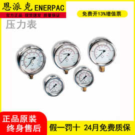 美国恩派克G系列压力表G2535L G2535LM GF10B GP10S原装正品