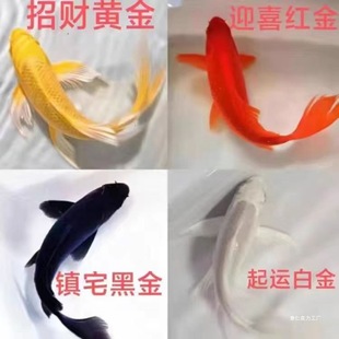 �~�^�p�~�S�\�����~���~�\����ˮ�~С�͵�ˮ�~���B�ͻ���\��