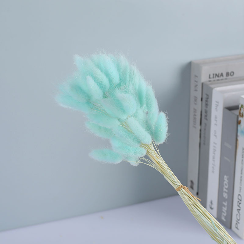 La flor eterna de la flor de la cola de conejo hierba seca 60 piezas al por mayor Dogtail hierba seca ramo de flores decoración DIY conejo hierba de la cola