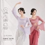 中国现代舞飞袖练功服纱衣
