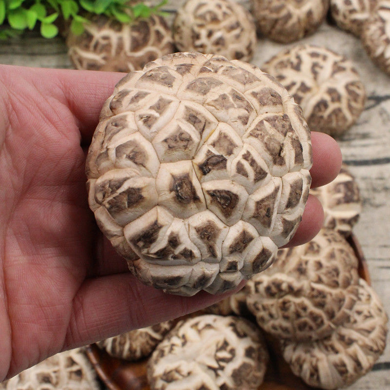 Flower Mushroom Northeast Basswood Dry Mushroom dried food mushrooms wholesale Mushrooms Large wild Independent Cross border