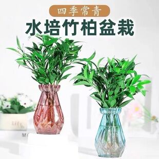 ������硿�������ˮ�������Gֲ�͏d����k����ˮ�B�ļ�����