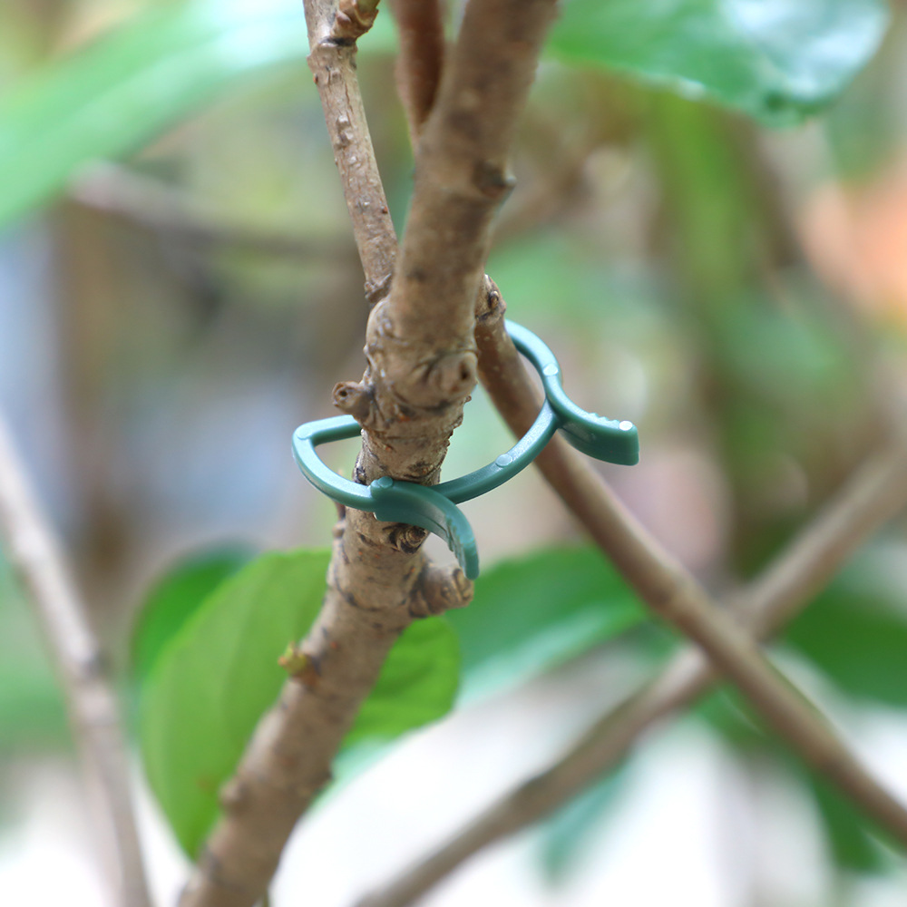 Gardening Plant Clips, Fixed Clips, Figure-Eight Buckle Binding Grafting Clips, Vine Fasteners for Green Plants, Seedlings, and Flowers