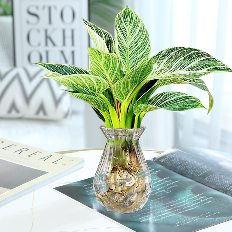 플래티넘 다이아몬드 1개(투명 다이아몬드 병) + 크리스탈 머드 + 영양액