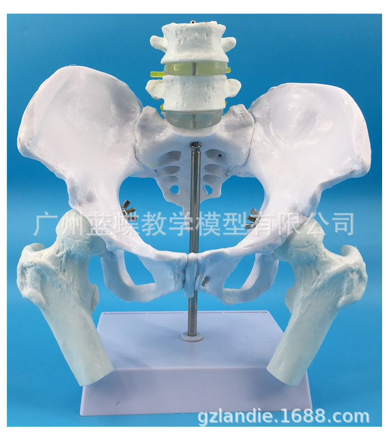 详情_11