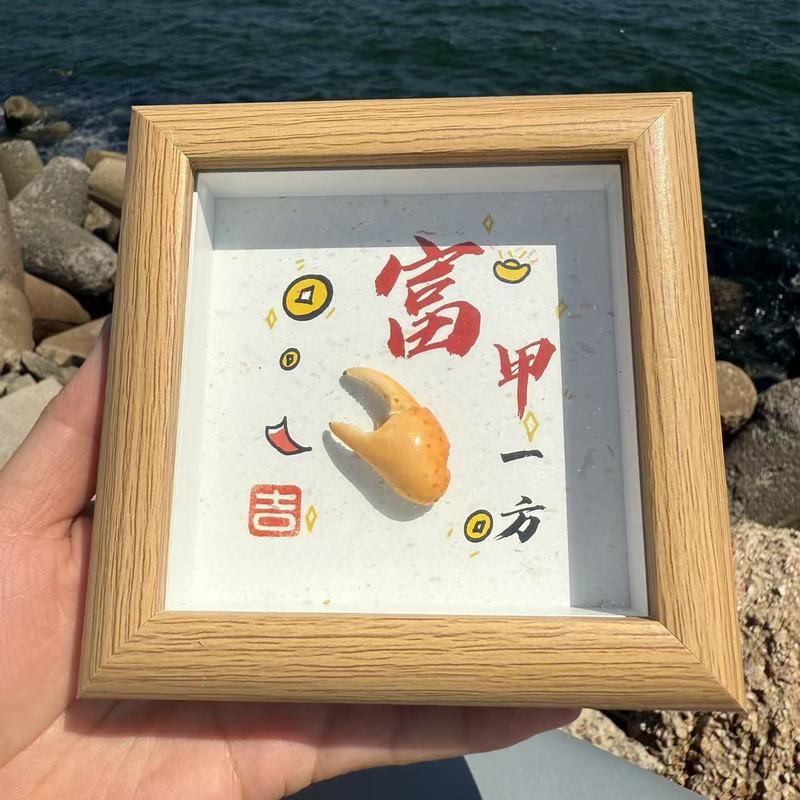 送料無料天然法螺貝塩漬け魚ナマコカニ標本フォトフレーム装飾品海辺クリエイティブギフト誕生日ギフト|undefined