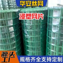 �����F�z�W늺��W�Gɫ�F�z���m�W�r�u�W�B�u���ھW���x�F�z�W�ř�