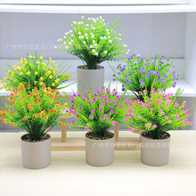 ������������M����ֲ���辰�Nޱ���ҾӾƵ��b�����[���������l