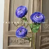 3 heads of thousands of layers of Lu Lotus blue purple