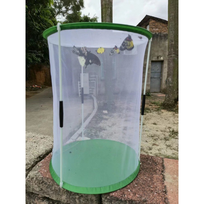 Soporte cilíndrico de producción propia barril jaula de alimentación de mariposa jaula de observación de insectos jaula de malla transparente jaula de visualización