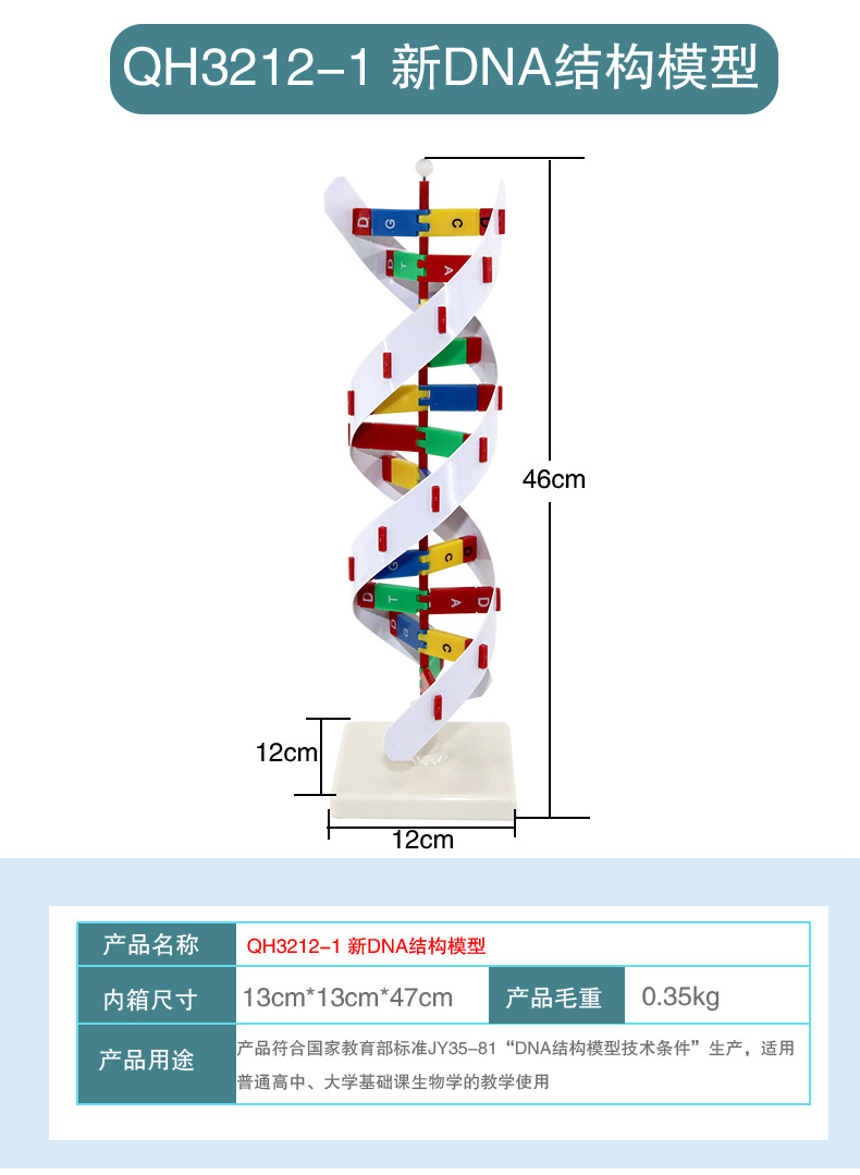 DNA结构模型-QH3212-1_01.jpg