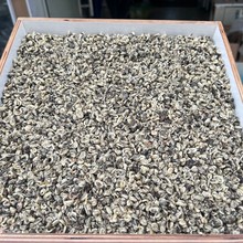 25年新茶广西横县源头厂家批发散装茉莉花茶云南螺型浓香玉螺1号