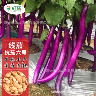 �߮a�s�����ѷN�Ӻ�����̖�L���ӷN�Ѵ����ļ������ͺ������߲���