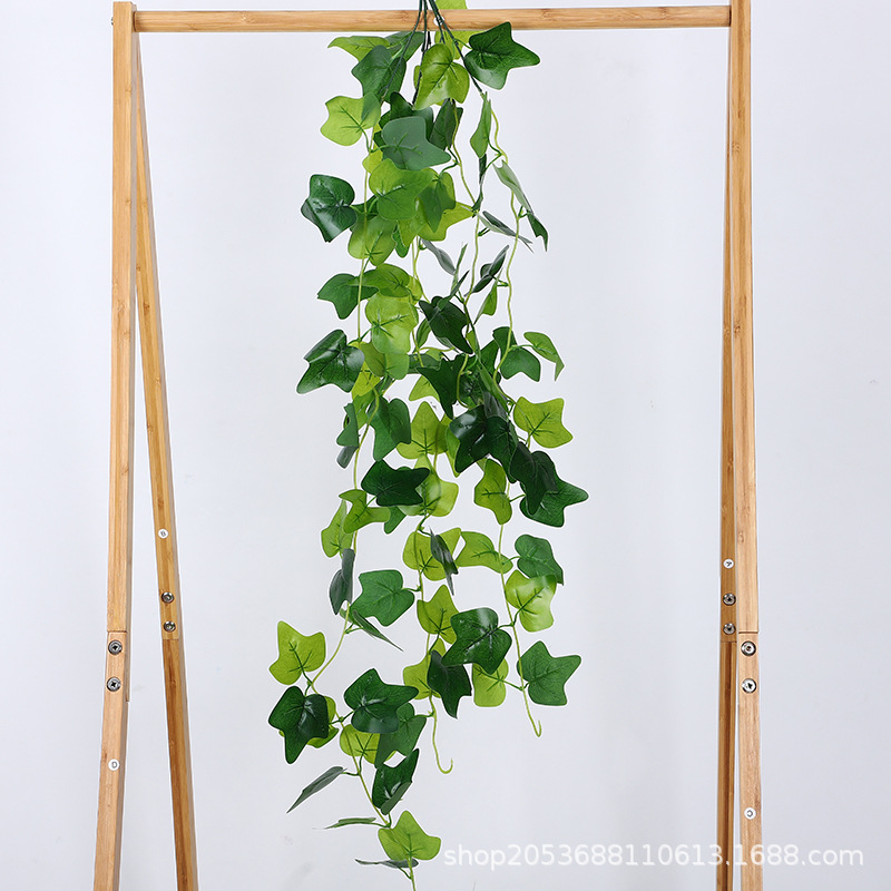 五叉壁挂过胶绿萝叶地瓜叶常春藤