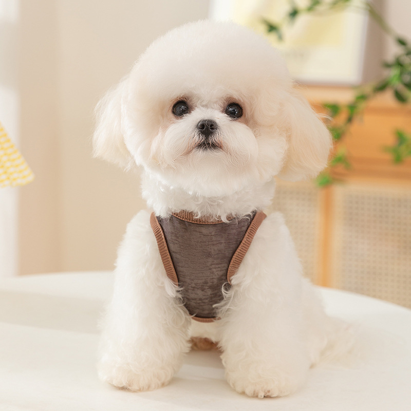 Estilo japonés y coreano perro mascota sin mangas malla oso chaleco de tracción gato transpirable delgado peluche ropa para perros