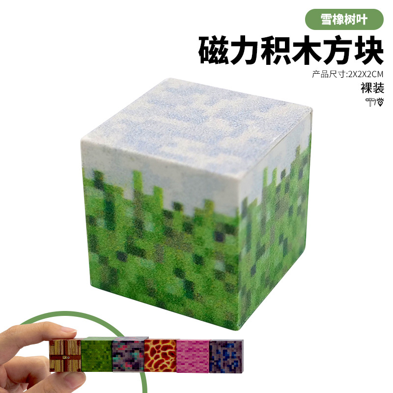 MC My World Magnetic Blocks Puzzle