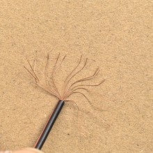���ȼt�ھ� �F؛���� �t�چ��^2.54���Ӿ� �L��49.5cm ����ă���