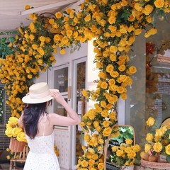 バラの物語と同じ花の壁のシミュレーション花の黄色のバラの籐の壁の装飾店のショーウインドーの装飾