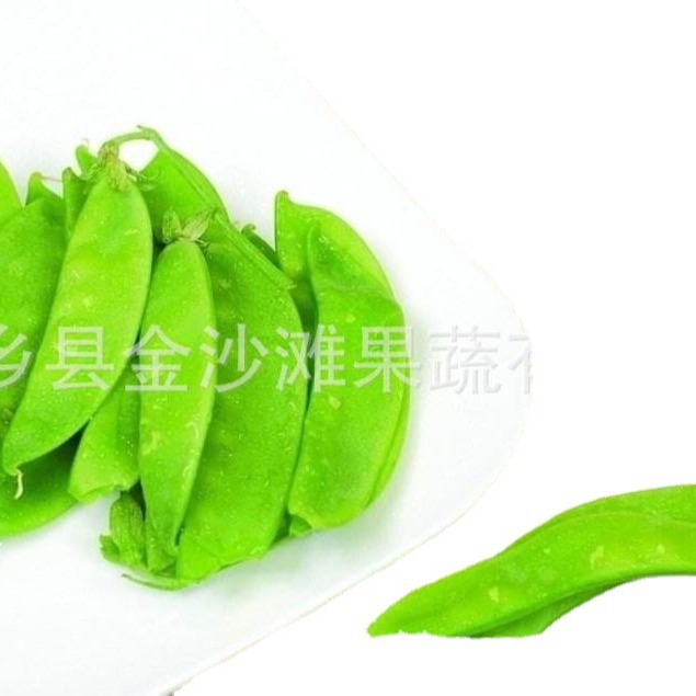 Frozen broad beans, year-round supply, welcome inquiry, bulk orders