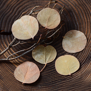 �������~����Ȼ����~�A��С�~�Ӹɻ�����Ʒ���h�������������