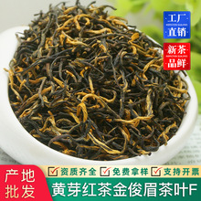 2025²贺Eü~tɢbtl ζò~l