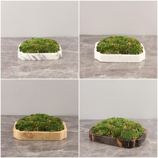 �F�����s����ʯ����̦�\�辰ˇ�g����[���͏d�������P�Ҿ��b�Ʒ