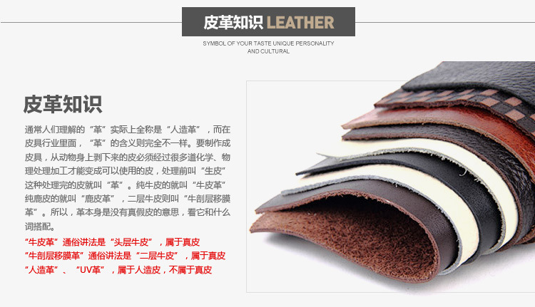 8598669156_1371799997