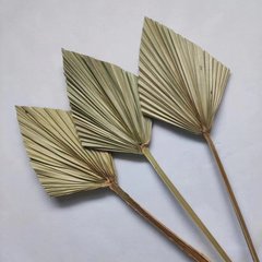 Mini fan leaf vase flower arrangement green plant palm leaf dried flower landscape bouquet matching suitable natural plant sunflower leaf