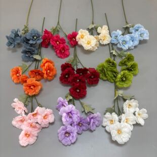 ���滨6�^���Põ�tɫ��Y�È������üٻ����Ļ�c·�����Ż��廨