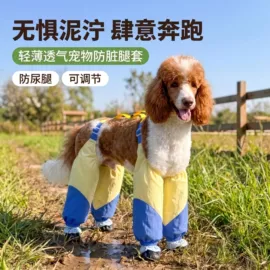狗狗服装;猫猫牵引;宠物项圈