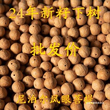 正宗尼泊尔凤眼菩提散珠原籽念珠藏式108佛珠菩提子手串手持批发