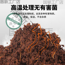 Ҭ�u�I�B��Ҭ��Ҭ���B���N�˷���Ҭ���u������Ҭ��������|������