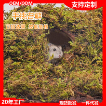 ��̦�\�|�ς}��ɭ�ֽ�z�܌���\���쾰��Ʒ�B���ھ����Ҭ������