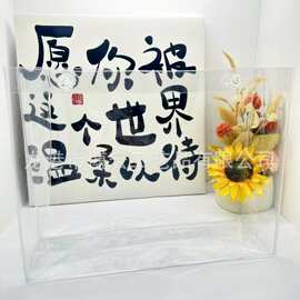 厂家现货直销pvc包包保护套 花瓣孔包包保护套 可做按钮